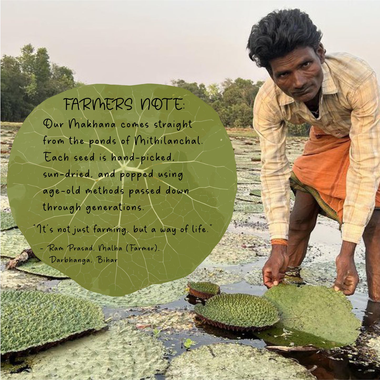 Hacks™ Jumbo Phool Makhana 100g